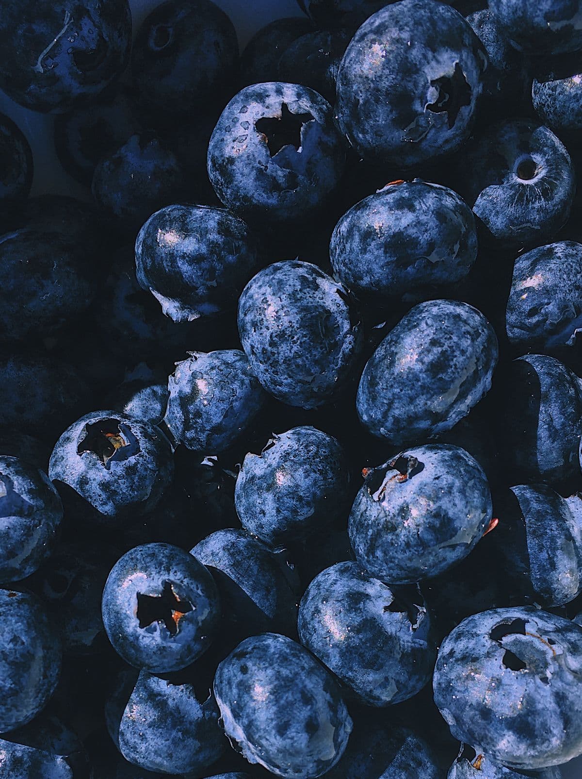 Blueberries 1 Pint