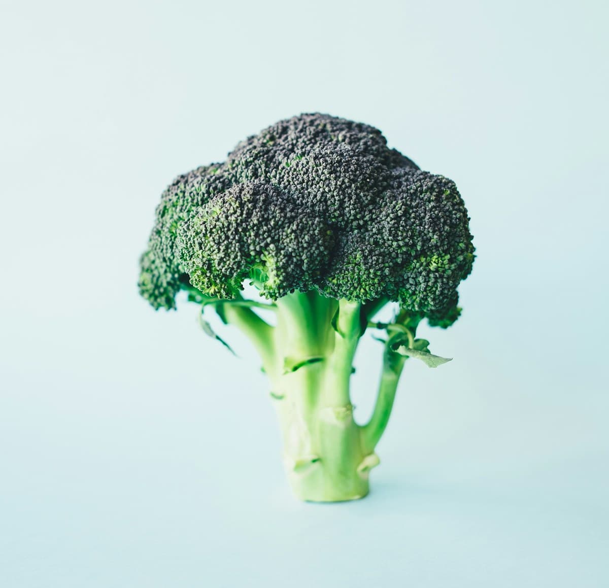 Broccoli Crowns 500g