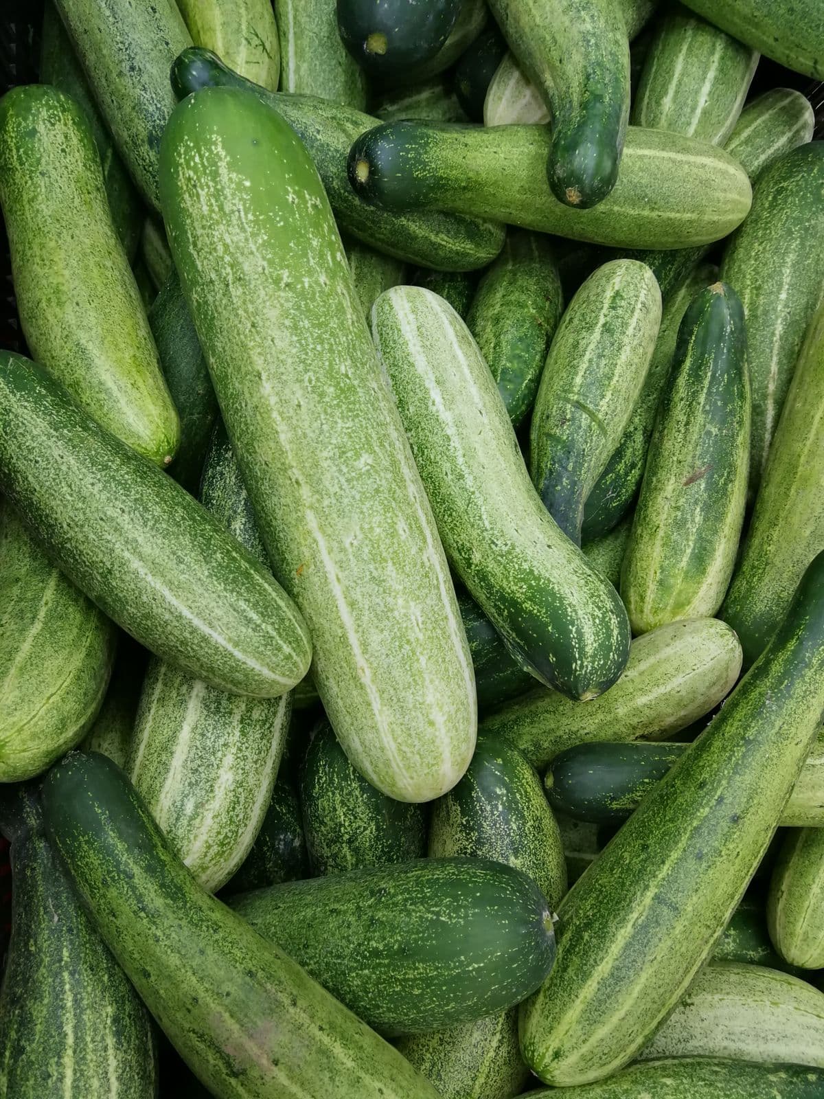 Cucumber 1kg