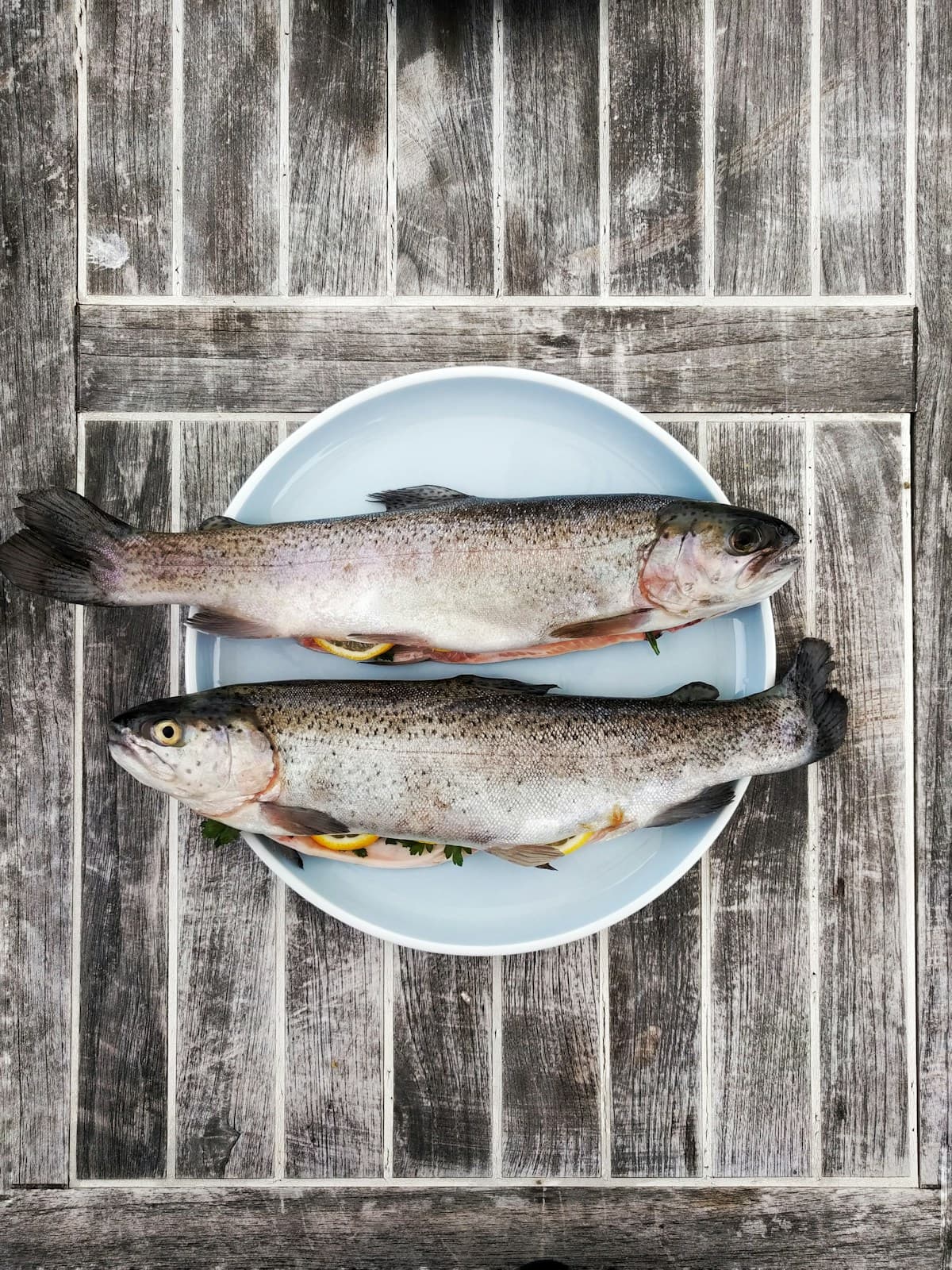 Tilapia Fillets 600g