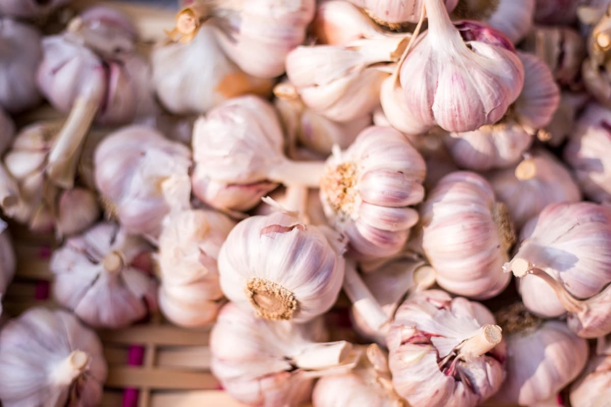 Wet Garlic 1kg